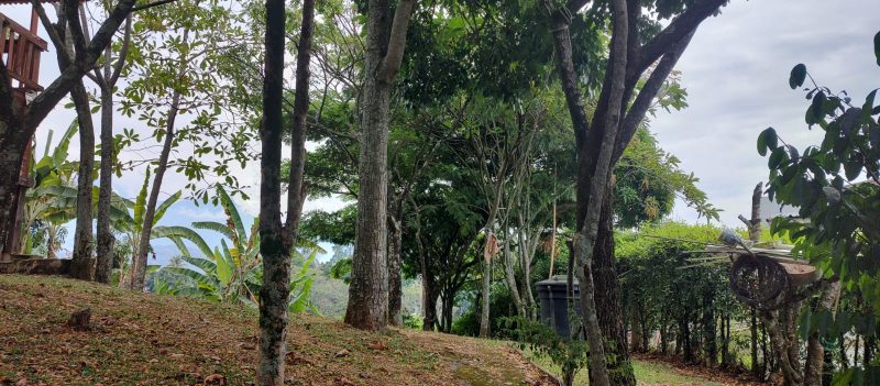 VENTA LOTE DE 1730 m2 EN HACIENDAS DE POTRERITO  KM 4 VIA RIO CLARO  – JAMUNDI